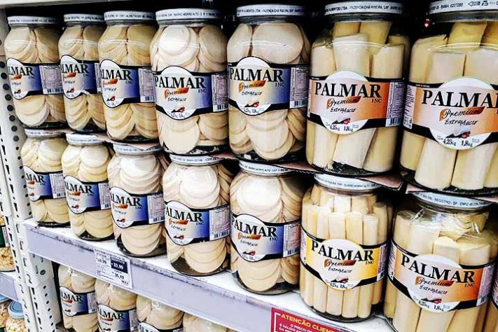 Palmito
