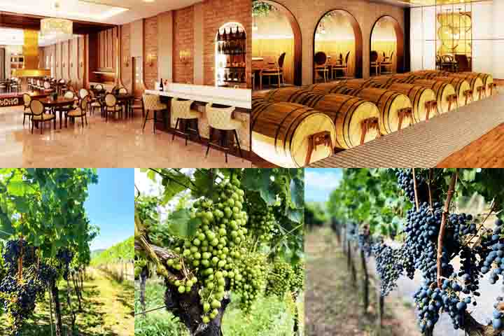 Vinícolas do Sul e um castelo de conto de fadas atraem viajantes