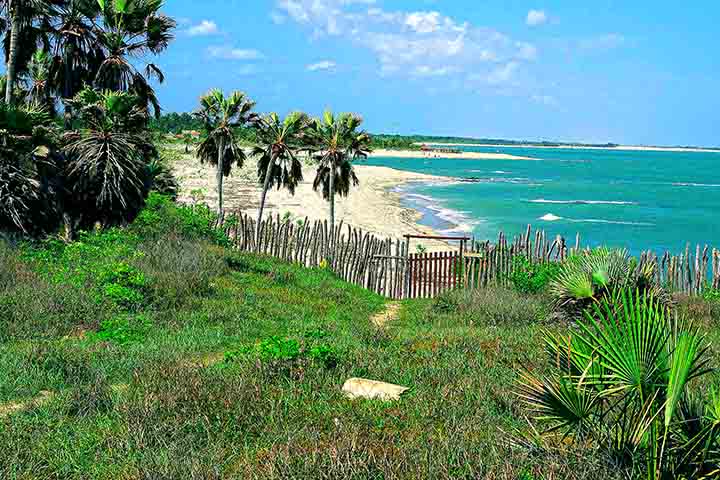 Já no caso das praias de Cajueiro da Praia, o mais frequente é que os turistas se hospedem na praia de Barra Grande, a 70 km de Parnaíba. Conheça a seguir as principais praias do Piauí. 
 - Flickr Otávio Nogueira