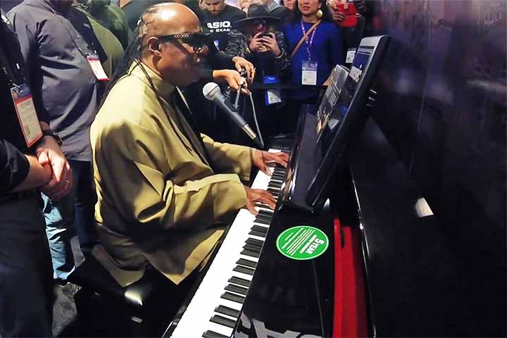 Stevie Wonder: nascido em 13/5/1950, é cantor, compositor, pianista e produtor musical. Apesar de ter perdido a visão nos primeiros anos de vida, aprendeu a tocar diversos instrumentos de ouvido, entre aulas profissionais e autodidatismo. Um dos músicos mais festejados da música internacional, acumula 25 premiações do Grammy.


