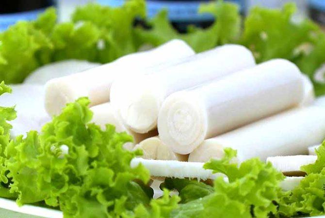 Substituto da carne, palmito é versátil na culinária: veja seus tipos e benefícios
