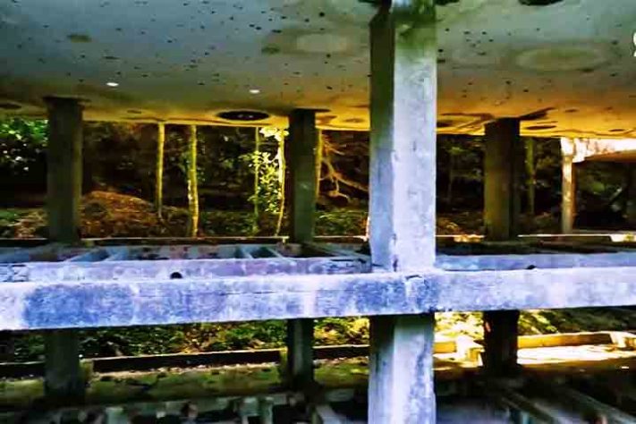 Gávea Tourist Hotel, Floresta da Tijuca, Rio de Janeiro - Reprodução de vídeo G1