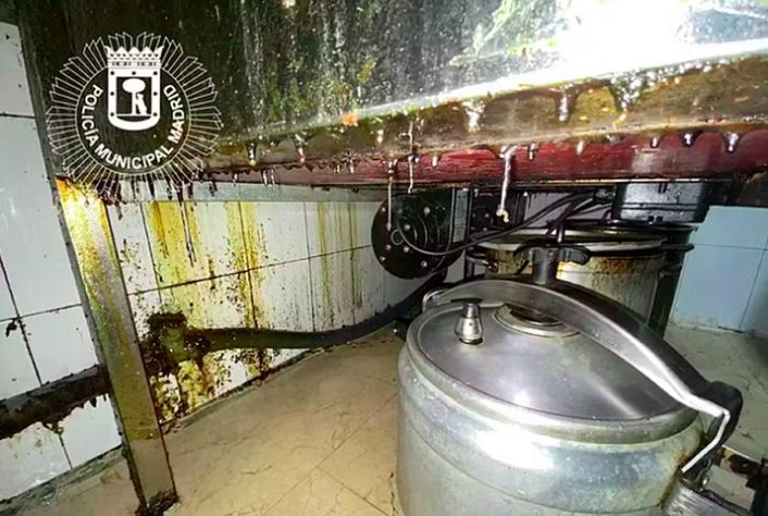 Restaurante em Madri é fechado por servir pombos de rua como se fosse carne de pato