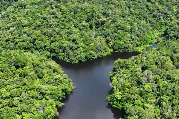 Rio Cassiquiare, Venezuela