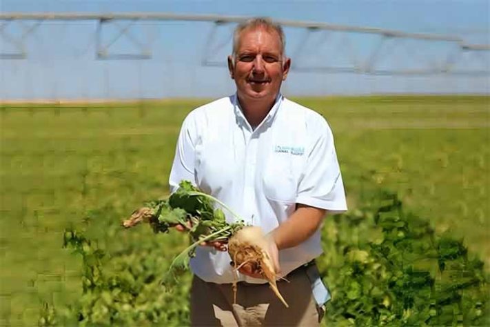 Experiência agrícola no deserto