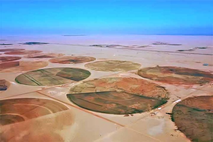 Experiência agrícola no deserto