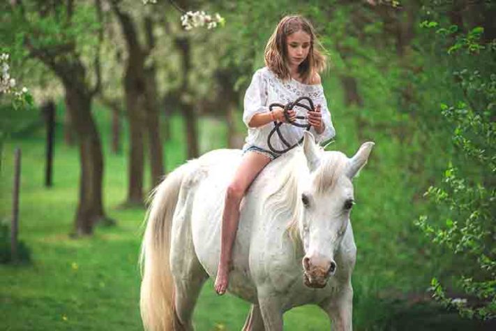 Cavalo, animal - Imagem de Kateřina Hartlová por Pixabay