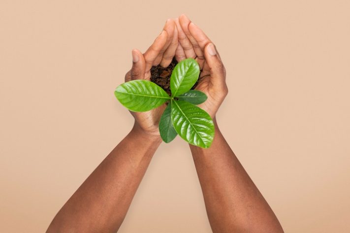 Sustentabilidade