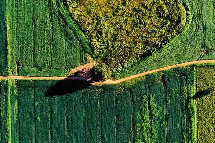 Geoglifos do Acre