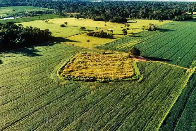 Geoglifos do Acre: desenhos na Amazônia intrigam cientistas