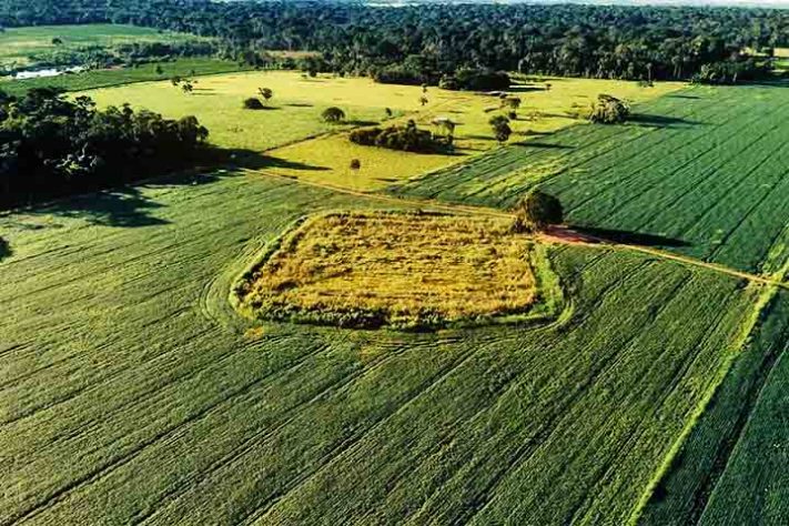 Geoglifos do Acre