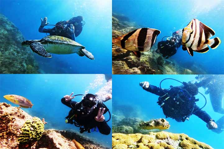 Arraial do Cabo é considerado um dos melhores destinos de mergulho do Brasil, com águas claras e rica vida marinha. Os pontos de mergulho, acessíveis por barco, permitem observar tartarugas, cardumes, corais e até naufrágios. -  Reprodução do Instagram @divertrip.arraial