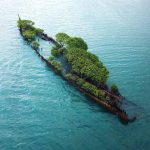 O naufrágio que está virando ilha na Austrália (Cockle Bay) - Reprodução do instagram @conormoorephotography