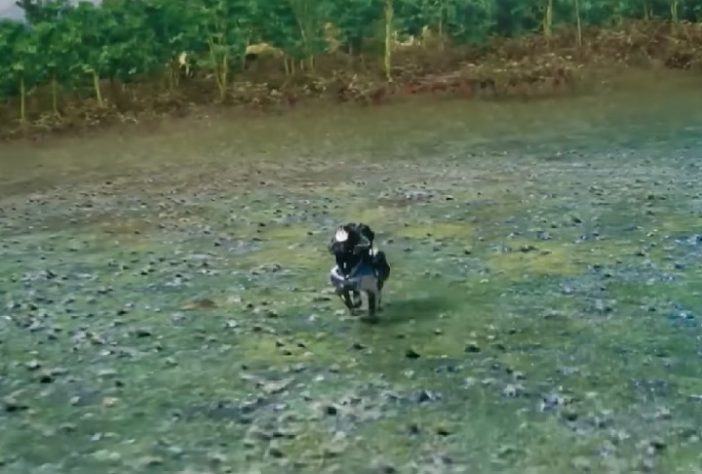 Kawasaki cria robô-cavalo pilotado por humanos