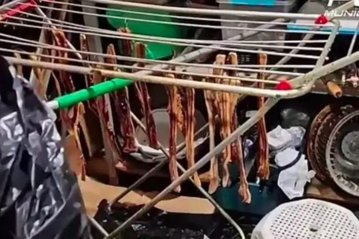 Restaurante em Madri é fechado por servir pombos de rua como se fosse carne de pato