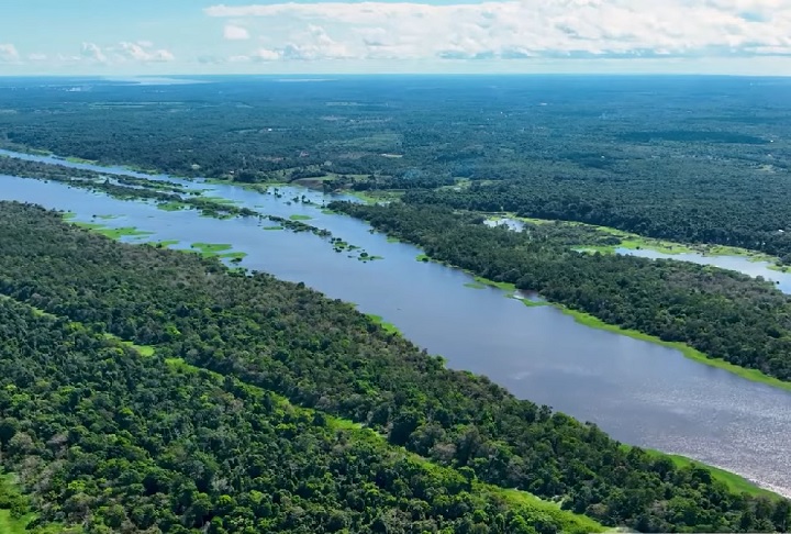Pesquisadores compararam essa ligação a um 