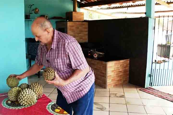Este cenário é resultado da escassa informação sobre seus usos potenciais e qualidade dos alimentos processados obtidos a partir dele. Por isso, esse produto necessita ser melhor explorado pela indústria.