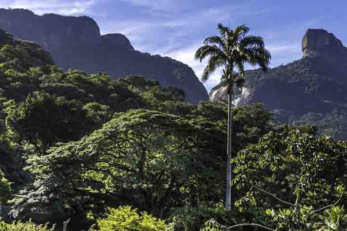 Floresta da Tijuca - Gávea Tourist Hotel, Floresta da Tijuca, Rio de Janeiro - Ana Carla AZ/Wikimédia Commons