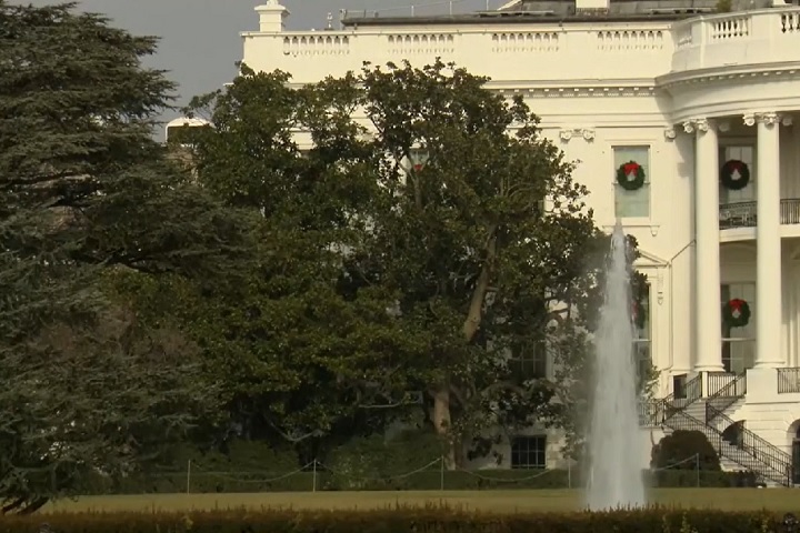 Trump explicou que a árvore será substituída por outra "muito bonita" e que "talvez [será] usada para outros propósitos elevados e nobres".