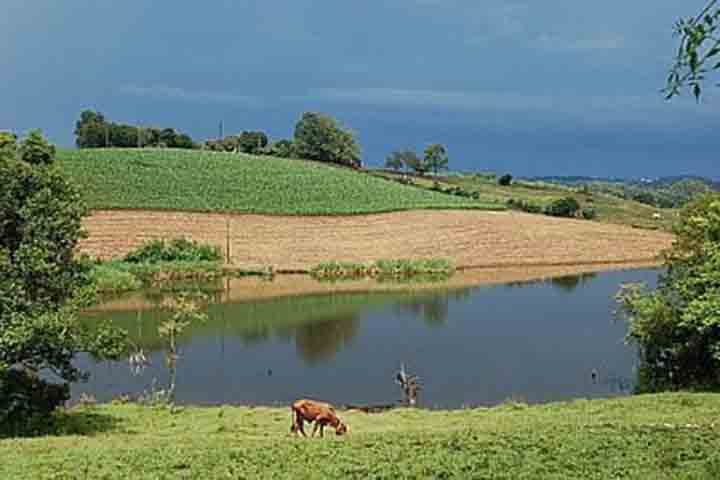 A economia local é diversificada, com ênfase na agricultura, especialmente na produção de milho, soja e tabaco, além da avicultura.