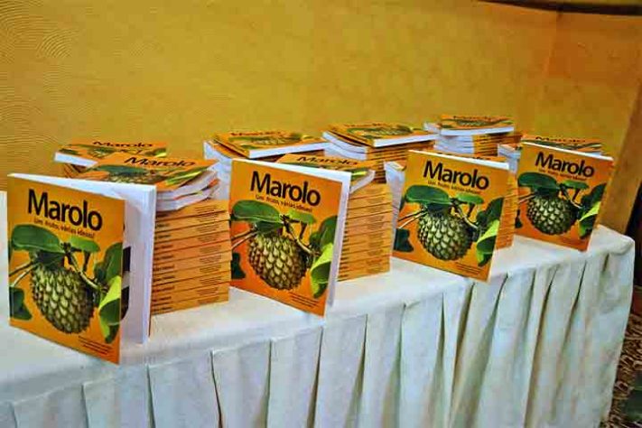 Marolo 