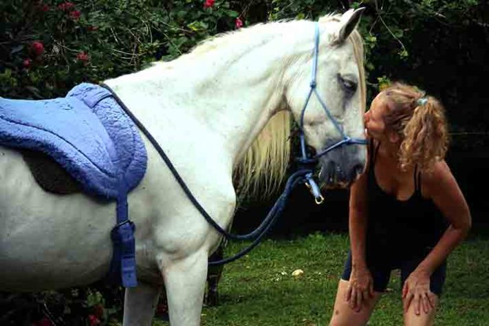 Cavalo, animal - Flickr Alexia Kerinec