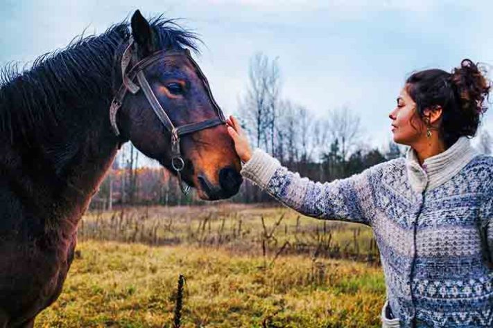 Cavalo, animal - Flickr Juan Collins
