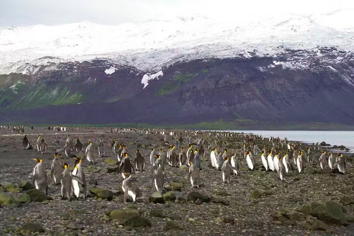 As Ilhas Heard e McDonald são conhecidas por abrigar os únicos vulcões ativos da Austrália, colônias de pinguins, aves e algumas espécies marinhas.
