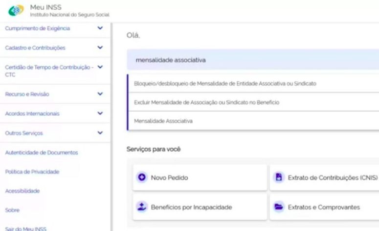 Site, plataforma, MEU INSS