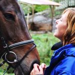 Cavalo, animal - Flickr Femke Blankers