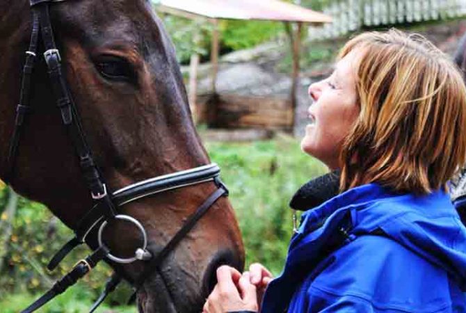 Estudo revela que cavalos reconhecem emoções das pessoas