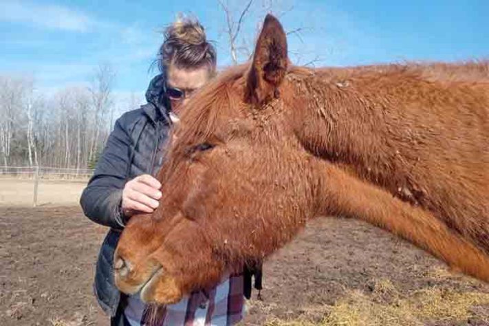 Cavalo, animal - Reprodução do Facebook