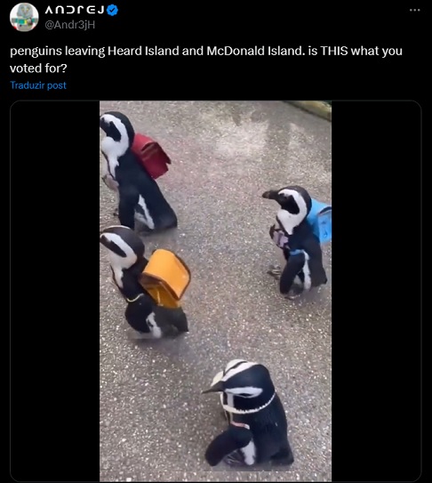 Um usuário postou pinguins caminhando com mochilas nas costas e a seguinte frase: "Pinguins deixando a Ilha Heard e a Ilha McDonald. Foi NESTE que você votou?"