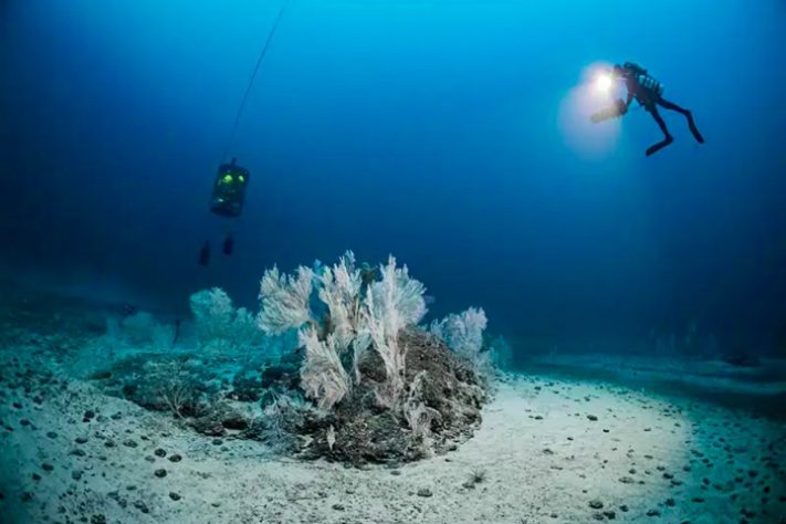 Cientistas descobrem anéis misteriosos no Mar Mediterrâneo