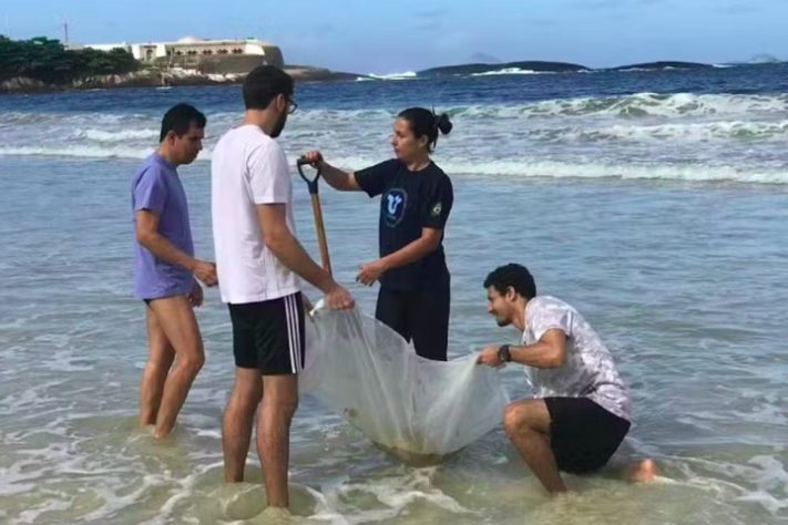 Desaparecimento repentino de tatuís em praias brasileiras preocupa cientistas