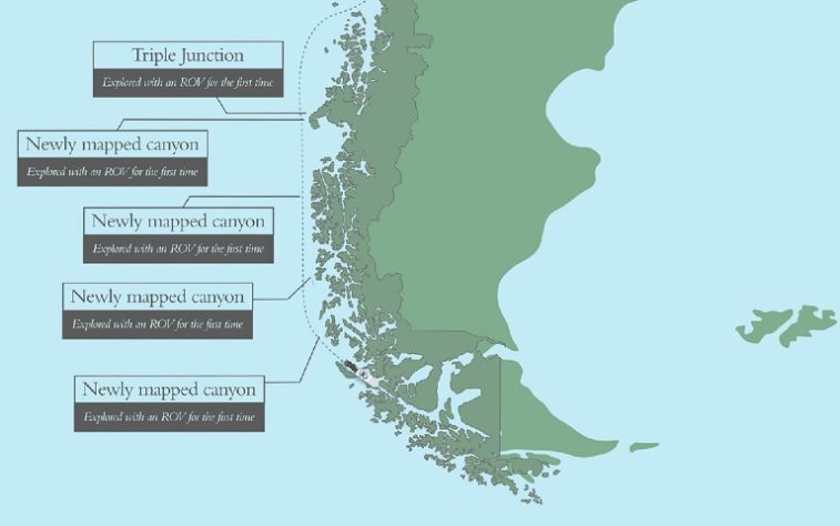 Cientistas descobrem novas espécies nas profundezas do oceano