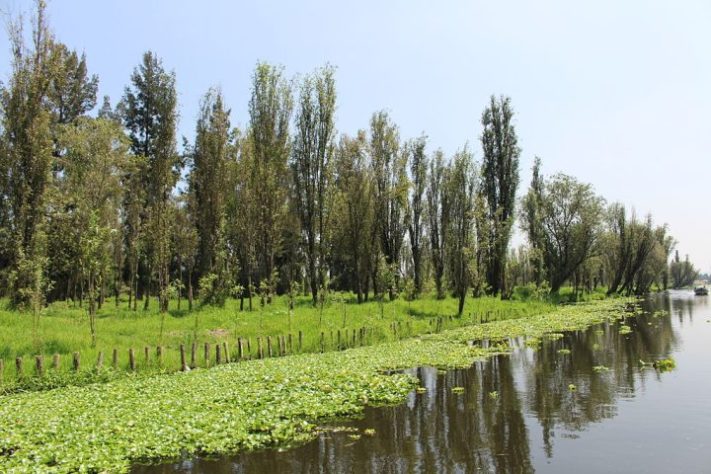 Chinampa, México