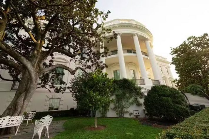 Magnólia de Jackson - Donald Trump quer derrubar árvore centenária da Casa Branca