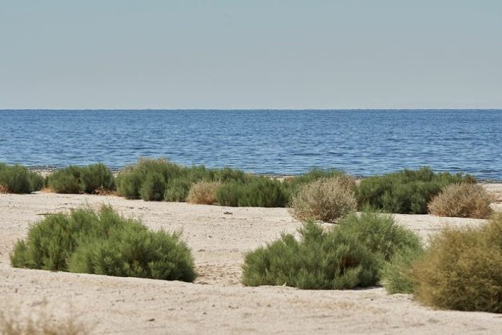 Salton Sea - Lago Salton, Califórnia (EUA)