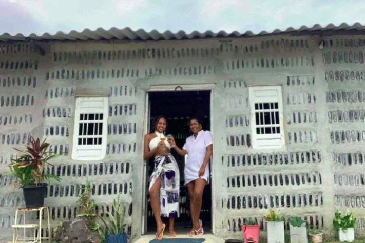 Mãe e filha constroem primeira casa vertical de vidro do mundo