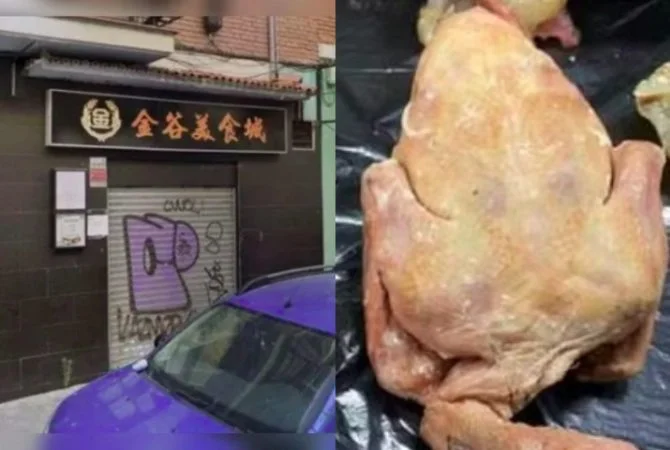 Restaurante é fechado após servir pombos de rua como ‘carne de pato’