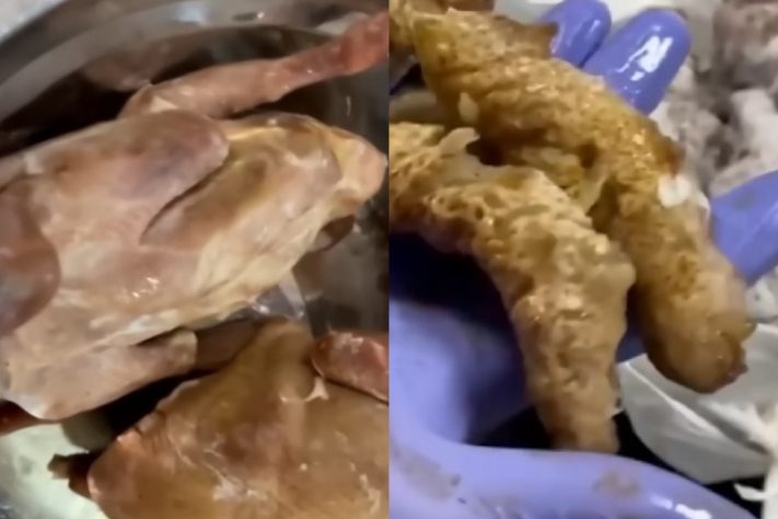 Montagem - Restaurante em Madri é fechado por servir pombos de rua como se fosse carne de pato