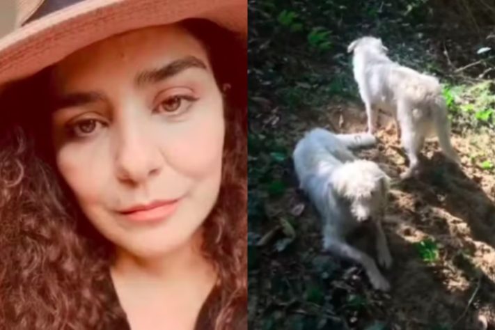 Montagem - Letícia Sabatella se pronuncia sobre polêmica envolvendo seus cachorros