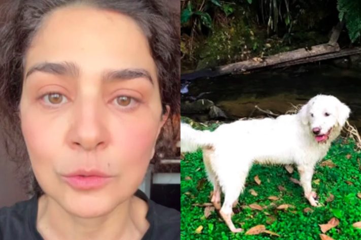 Montagem - Letícia Sabatella se pronuncia sobre polêmica envolvendo seus cachorros