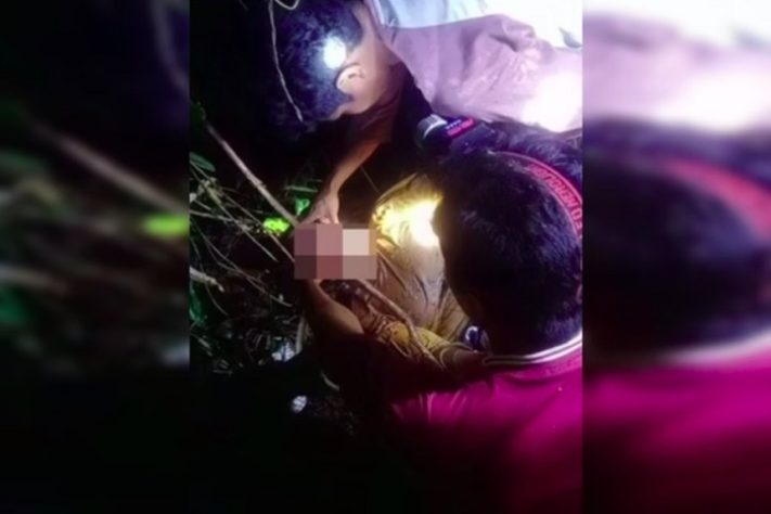 Mulher de 55 anos é engolida por píton na Indonésia