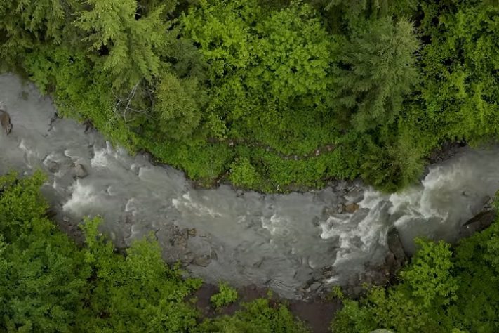Rio Cassiquiare, Venezuela