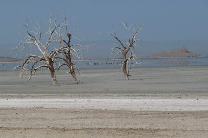 Salton Sea - Lago Salton, Califórnia (EUA)
