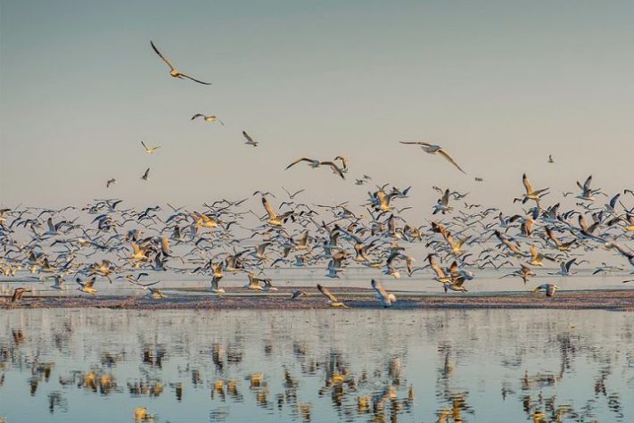Salton Sea - Lago Salton, Califórnia (EUA)