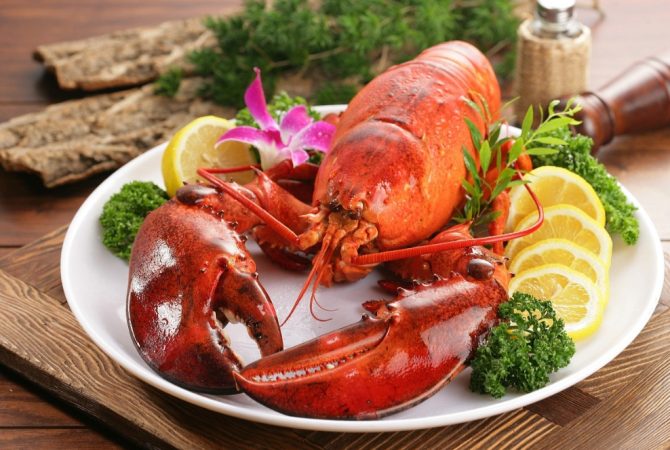 Apreciada na gastronomia e nas artes, lagosta é refinada e nutritiva