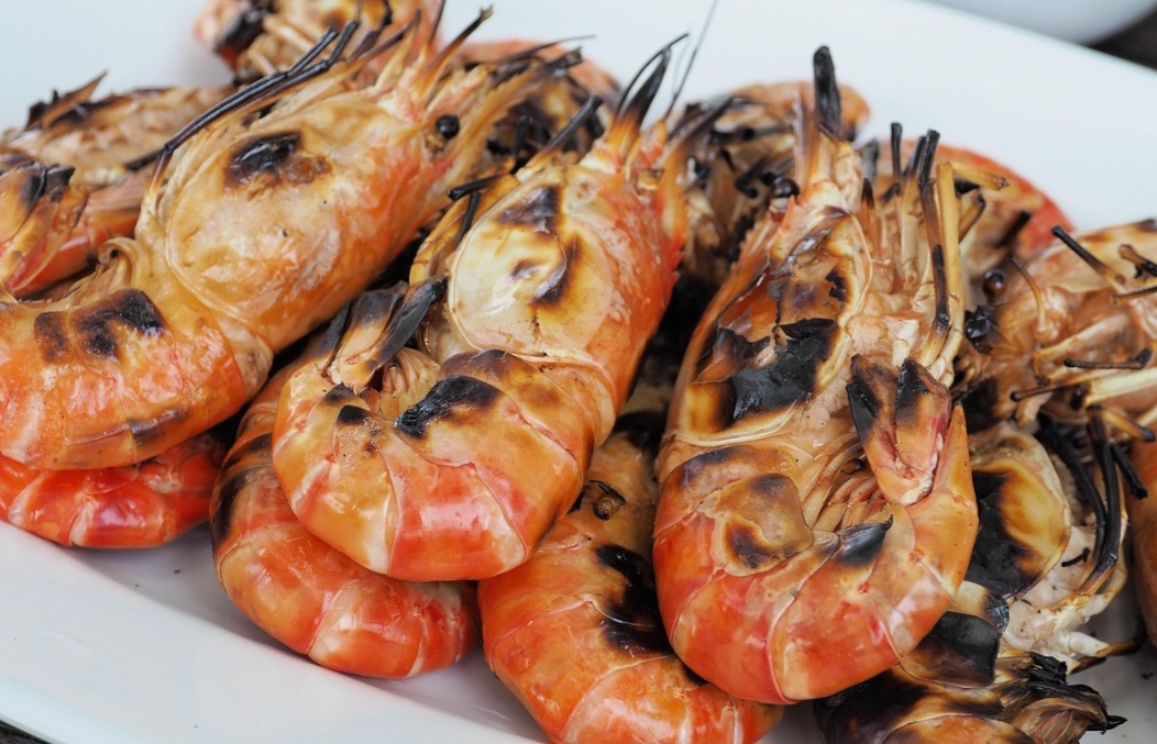 A criação de camarões, ou carcinicultura, cresce como setor produtivo e econômico. Nesse contexto, a nutrição balanceada é imprescindível para maximizar o crescimento e melhorar a saúde e a sobrevivência desses crustáceos. 